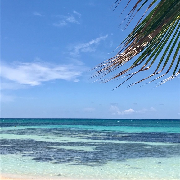 Meet your Posher, Lisa - Picture 1 of 1